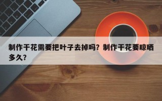 制作干花需要把叶子去掉吗？制作干花要晾晒多久？