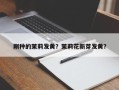 刚种的茉莉发黄？茉莉花新芽发黄？