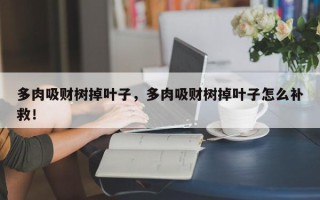 多肉吸财树掉叶子，多肉吸财树掉叶子怎么补救！