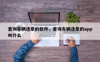 查询车辆违章的软件，查询车辆违章的app叫什么