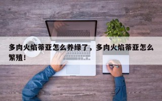 多肉火焰蒂亚怎么养绿了，多肉火焰蒂亚怎么繁殖！