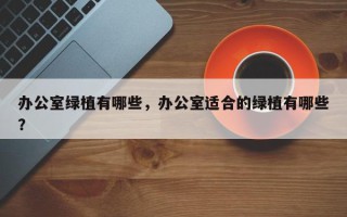 办公室绿植有哪些，办公室适合的绿植有哪些？