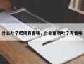 什么叶子燃烧有香味，什么植物叶子有香味