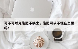 可不可以光施肥不换土，施肥可以不埋在土里吗！