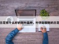 兰花有什么好的短叶品种，叶子比较短的兰花