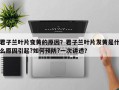 君子兰叶片变黄的原因？君子兰叶片发黄是什么原因引起?如何预防?一次讲透？