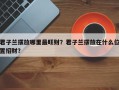 君子兰摆放哪里最旺财？君子兰摆放在什么位置招财？