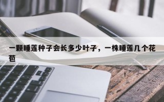一颗睡莲种子会长多少叶子，一株睡莲几个花苞