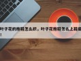叶子花的拖鞋怎么织，叶子花拖鞋怎么上鞋底！