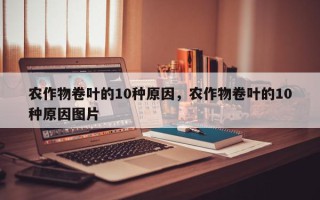农作物卷叶的10种原因，农作物卷叶的10种原因图片