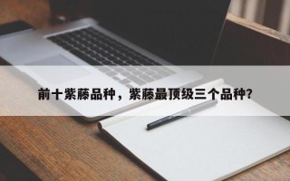 前十紫藤品种，紫藤最顶级三个品种？