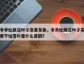 冬季杜鹃花叶子发黑发焦，冬天杜鹃花叶子发黑干枯落叶是什么原因?