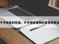 千手观音的花语，千手观音植物的寓意和象征
