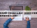 多肉的叶子变软是什么情况？多肉的叶子变得越来越软是怎么回事？