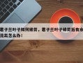 君子兰叶子如何修剪，君子兰叶子修剪后有水流出怎么办！