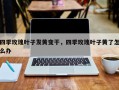 四季玫瑰叶子发黄变干，四季玫瑰叶子黄了怎么办