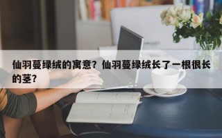 仙羽蔓绿绒的寓意？仙羽蔓绿绒长了一根很长的茎？