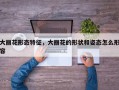 大丽花形态特征，大丽花的形状和姿态怎么形容