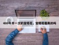 400年开一次的宝塔花，宝塔花是真的吗