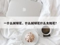 一什么绒球花，什么绒球花什么太阳花？