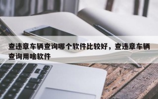 查违章车辆查询哪个软件比较好，查违章车辆查询用啥软件