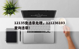 12135查违章处理，121236103查询违章！