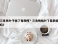 三角梅叶子枯了有救吗？三角梅枯叶了能救回吗？