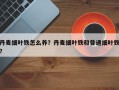 丹麦细叶铁怎么养？丹麦细叶铁和普通细叶铁？