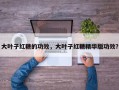 大叶子红糖的功效，大叶子红糖精华版功效？
