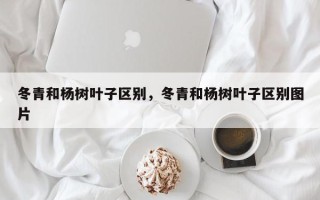 冬青和杨树叶子区别，冬青和杨树叶子区别图片
