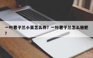 一叶君子兰小苗怎么养？一叶君子兰怎么施肥？