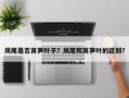 凤尾是否莴笋叶子？凤尾和莴笋叶的区别？