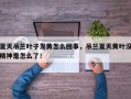 夏天吊兰叶子发黄怎么回事，吊兰夏天黄叶没精神是怎么了！