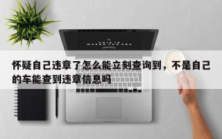 怀疑自己违章了怎么能立刻查询到，不是自己的车能查到违章信息吗
