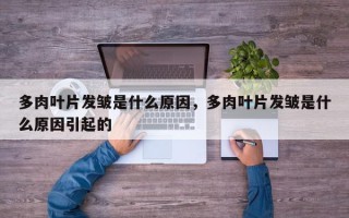 多肉叶片发皱是什么原因，多肉叶片发皱是什么原因引起的