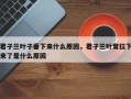 君子兰叶子垂下来什么原因，君子兰叶耷拉下来了是什么原因