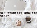 凤尾竹叶子干枯是什么原因，凤尾竹叶子干枯是怎么回事
