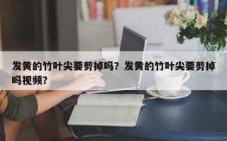 发黄的竹叶尖要剪掉吗?发黄的竹叶尖要剪掉吗视频? 发黄的竹叶尖要剪掉吗?发黄的竹叶尖要剪掉吗视频?