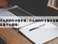 什么树的叶子像手掌，什么树的叶子像手掌果实是个小圆球！