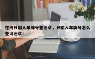 在线只输入车牌号查违章，只输入车牌号怎么查询违章！
