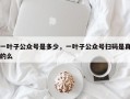 一叶子公众号是多少，一叶子公众号扫码是真的么