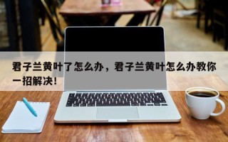 君子兰黄叶了怎么办，君子兰黄叶怎么办教你一招解决！