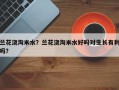兰花浇淘米水？兰花浇淘米水好吗对生长有利吗？