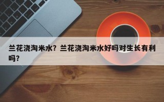 兰花浇淘米水？兰花浇淘米水好吗对生长有利吗？