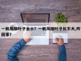 一帆风顺叶子太小？一帆风顺叶子长不大,咋回事？
