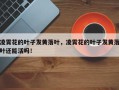 凌霄花的叶子发黄落叶，凌霄花的叶子发黄落叶还能活吗！
