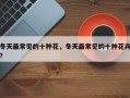 冬天最常见的十种花，冬天最常见的十种花卉？