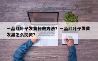 一品红叶子发黄补救方法?一品红叶子发黄 发黑怎么挽救? 一品红叶子发黄补救方法?一品红叶子发黄 发黑怎么挽救?