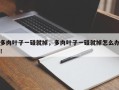多肉叶子一碰就掉，多肉叶子一碰就掉怎么办！