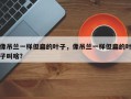 像吊兰一样但扁的叶子，像吊兰一样但扁的叶子叫啥？